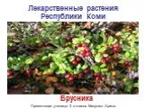 Лекарственные растения Республики Коми
