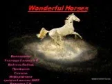 Wonderful Horses