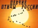 Певчие птицы России