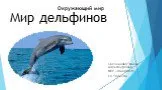Мир дельфинов
