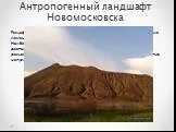 Антропогенный ландшафт новомосковска