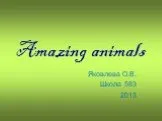 Amazing animals