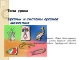 Органы и системы органов животных