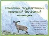 Кавказский природный заповедник