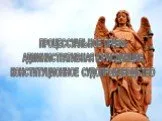 Процессуальное право: административная юрисдикция, конституционное судопроизводство