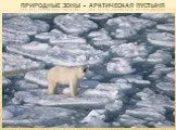 Природные зоны – Арктическая пустыня