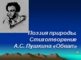 «Обвал» А.С. Пушкин