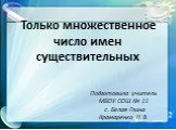 Только множественное число имен существительных