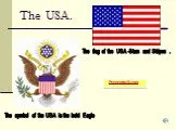 The flag of the usa - stars and stripes