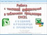 Работа с текстовой информацией в табличном процессоре EXCEL