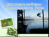 Национальный парк Припышминские боры