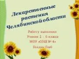 Лекарственные растения Челябинской области