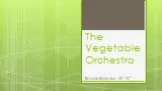TheVegetable Orchestra